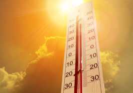 Confirmé : juillet 2021 a été le mois le plus chaud jamais enregistré en 142 ans 31 Confirmé : Juillet 2021 A été Le Mois Le Plus