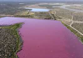 Ces Lacs Sont Devenus Roses à Cause De La Pollution