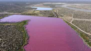 Ces lacs sont devenus roses à cause de la pollution 17 Ces Lacs Sont Devenus Roses à Cause De La Pollution