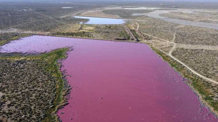Ces lacs sont devenus roses à cause de la pollution 1 Ces Lacs Sont Devenus Roses à Cause De La Pollution