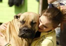 Cinq Conseils Pour Faire Vivre Votre Chien Plus Longtemps