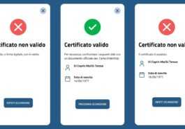 Comment Fonctionne L'application Verifiedc19 Qui Vérifie Les Laissez Passer Verts (et