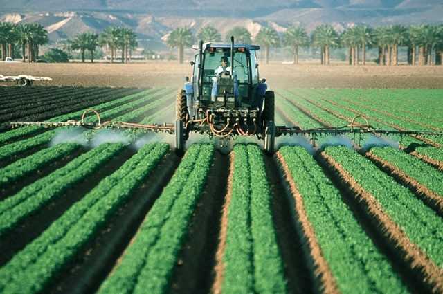 Découverte de 24 nouveaux polluants dangereux dérivés de pesticides dispersés dans l'environnement 1 Découverte De 24 Nouveaux Polluants Dangereux Dérivés De Pesticides Dispersés