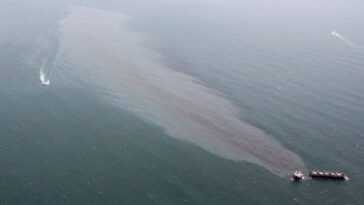 Des bactéries capables de biodégrader le pétrole dispersé dans la mer ont été découvertes dans les fonds marins de l'Arctique 7 Des Bactéries Capables De Biodégrader Le Pétrole Dispersé Dans La