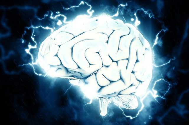 Inverser le vieillissement cérébral est possible, selon cette étude 1 Inverser Le Vieillissement Cérébral Est Possible, Selon Cette étude