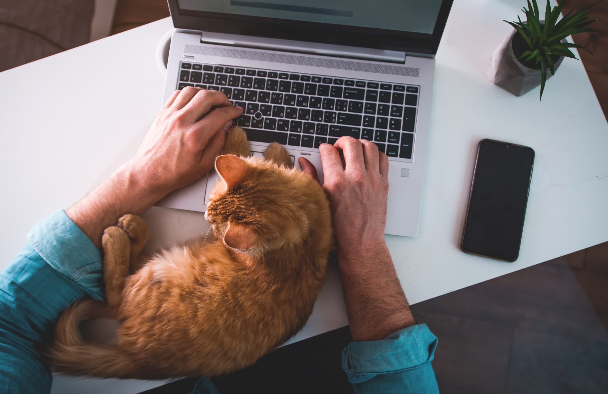 Les employés de Google qui choisissent de travailler à domicile pourraient voir des baisses de salaire en fonction de leur lieu de résidence 2 Les employes de Google qui choisissent de travailler a domicile