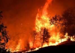 Même Si Les Incendies Sont Des Incendies Criminels, Le Changement