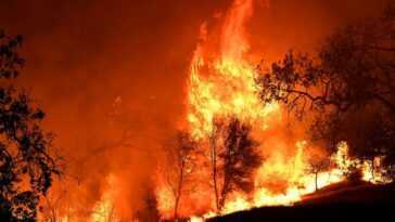Même si les incendies sont des incendies criminels, le changement climatique les rend plus destructeurs 2 Même Si Les Incendies Sont Des Incendies Criminels, Le Changement