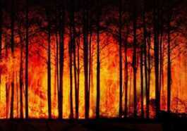 Parce Que La Chaleur Extrême, Les Incendies Et Les Sécheresses
