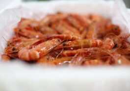 Parce Que Sucer Des Têtes De Crevettes Ou Les Réutiliser