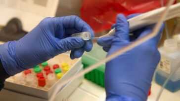 Pour la première fois, la mucoviscidose corrigée dans des cellules humaines grâce à l'édition génétique 13 Pour La Première Fois, La Mucoviscidose Corrigée Dans Des Cellules