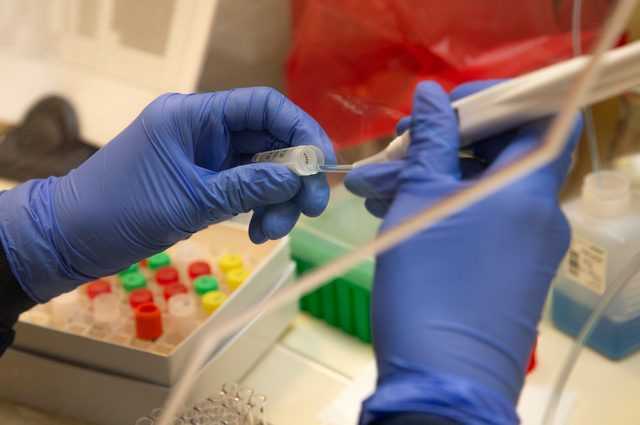 Pour la première fois, la mucoviscidose corrigée dans des cellules humaines grâce à l'édition génétique 1 Pour La Première Fois, La Mucoviscidose Corrigée Dans Des Cellules