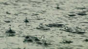Que signifie le pourcentage de pluie dans le temps 10 Que Signifie Le Pourcentage De Pluie Dans Le Temps