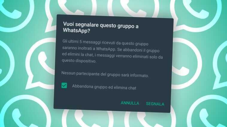 Que se passe-t-il à partir d'aujourd'hui lorsque vous signalez quelqu'un sur WhatsApp 1 Que Se Passe T Il à Partir D'aujourd'hui Lorsque Vous Signalez Quelqu'un