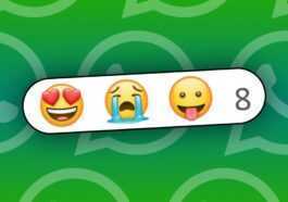 Comment Fonctionnent Les Réactions Sur Whatsapp : Vous Pouvez Utiliser