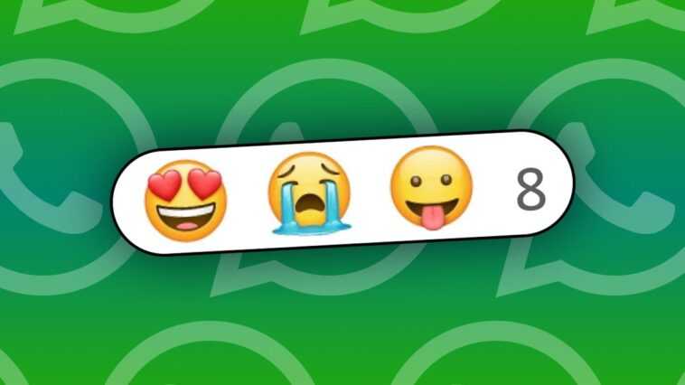 Comment fonctionnent les réactions sur WhatsApp : vous pouvez utiliser tous les emojis indéfiniment 1 Comment Fonctionnent Les Réactions Sur Whatsapp : Vous Pouvez Utiliser