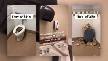 Salles de bain détruites et savon volé : le nouveau challenge TikTok aux USA 13 Salles De Bain Détruites Et Savon Volé : Le Nouveau