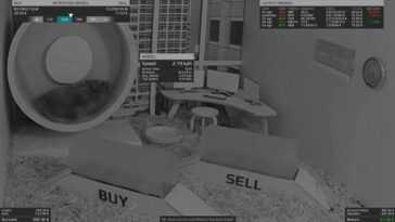 Ce hamster vend et achète des crypto-monnaies (et gagne plus que l'indice S&P 500) 28 Ce Hamster Vend Et Achète Des Crypto Monnaies (et Gagne Plus