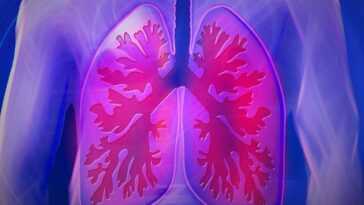 Découverte de la cause du cancer du poumon chez les non-fumeurs 5 Découverte De La Cause Du Cancer Du Poumon Chez Les