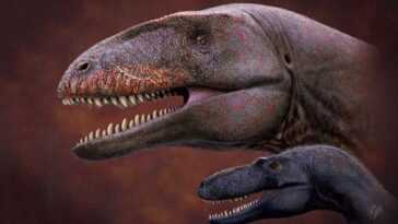 Découverte d'un énorme dinosaure à dents de requin - il était au sommet de la chaîne alimentaire avant T.rex 10 Découverte D'un énorme Dinosaure à Dents De Requin Il