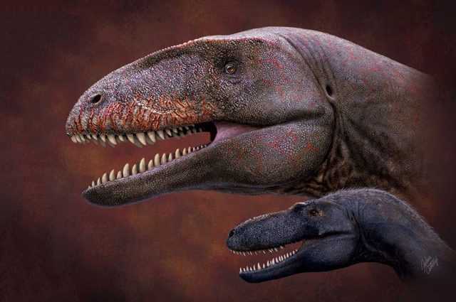 Découverte d'un énorme dinosaure à dents de requin - il était au sommet de la chaîne alimentaire avant T.rex 1 Découverte D'un énorme Dinosaure à Dents De Requin Il