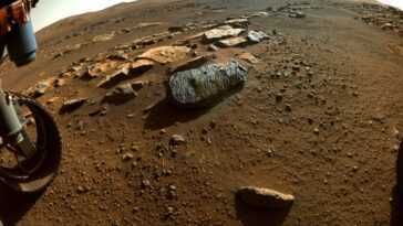 Des échantillons de roche prélevés sur Mars peuvent contenir d'anciennes bulles d'eau 2 Des échantillons De Roche Prélevés Sur Mars Peuvent Contenir D'anciennes