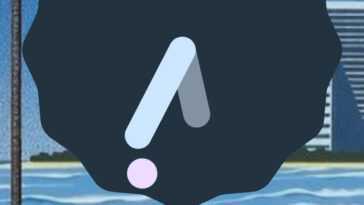 La version bêta finale d'Android 12 apporte Material You et de nouvelles animations 19 La Version Bêta Finale D'android 12 Apporte Material You Et