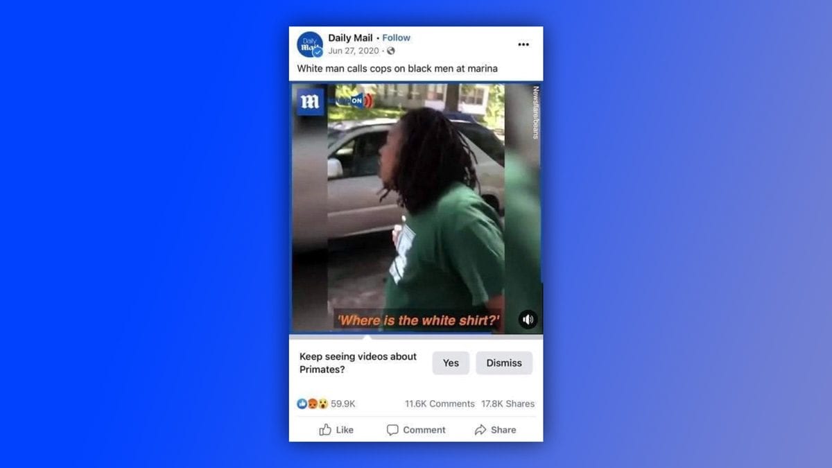 L'algorithme de Facebook prend des hommes noirs pour des primates 1 Lalgorithme de Facebook prend des hommes noirs pour des primates