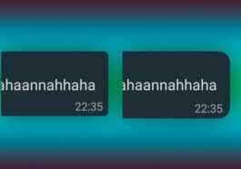 Les Nouvelles Bulles De Chat Arrivent Sur Whatsapp : Voici