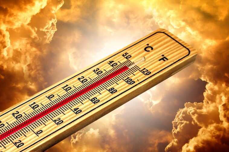 L'été 2021 en Europe a été le plus chaud des 30 dernières années : des pics extrêmes en Méditerranée 1 L'été 2021 En Europe A été Le Plus Chaud Des