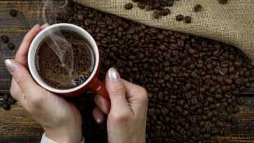 Que se passe-t-il si vous buvez du café à jeun 23 Que Se Passe T Il Si Vous Buvez Du Café à Jeun