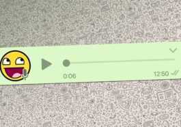 Sur Whatsapp Vous Pourrez Lire Les Messages Vocaux : Cette