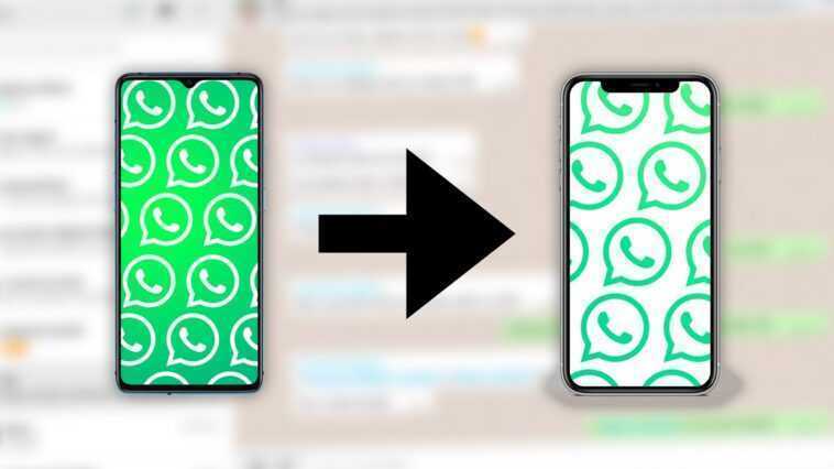Vous pouvez donc déplacer les conversations WhatsApp d'Android vers iOS : ce qui est nécessaire pour le transfert 1 Vous Pouvez Donc Déplacer Les Conversations Whatsapp D'android Vers Ios :