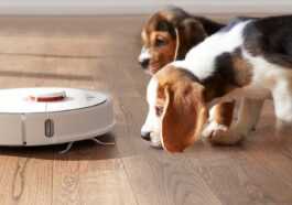 Aspirateur Robot Animaux Chien