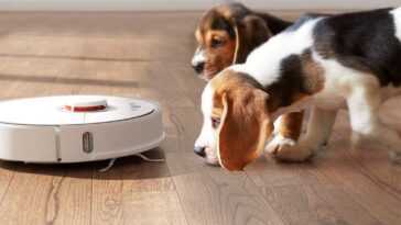 ROIDMI Eve Plus: La solution contre la perte de poils d'animaux 6 Aspirateur Robot Animaux Chien