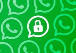 La Nouveauté De Whatsapp Pour Protéger Les Sauvegardes De Chat