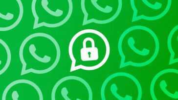 La Nouveauté De Whatsapp Pour Protéger Les Sauvegardes De Chat