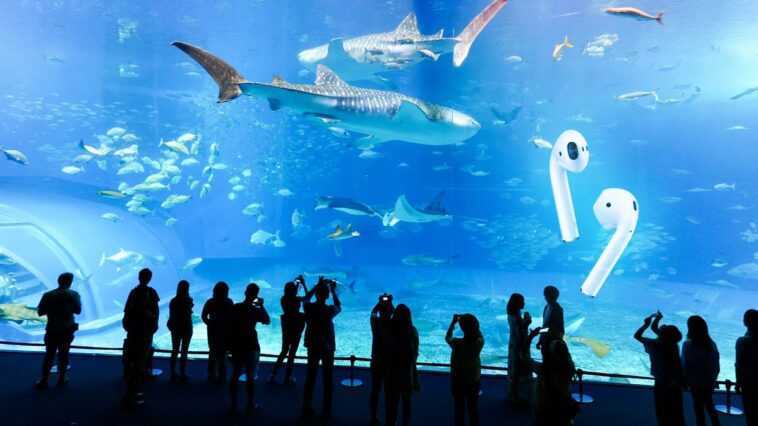 Que faire lorsque les AirPod sont dans l'eau ou sont mouillés 1 Que Faire Lorsque Les Airpod Vous Mettent Dans L'eau Ou