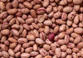 C'est La Nourriture Que Vous Devriez Manger Tous Les Jours