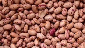C'est La Nourriture Que Vous Devriez Manger Tous Les Jours