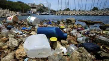 Combien De Déchets Plastiques Flottent Dans La Mer Méditerranée