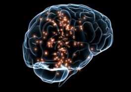 Des Scientifiques Découvrent Une Protéine Qui Peut Aider à Effacer