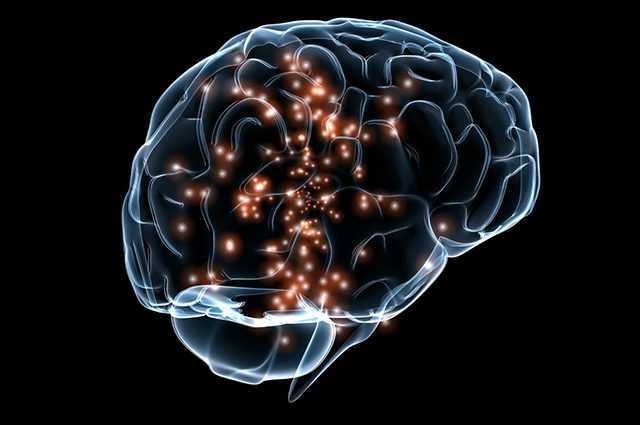 Des scientifiques découvrent une protéine qui peut aider à effacer les mauvais souvenirs 1 Des Scientifiques Découvrent Une Protéine Qui Peut Aider à Effacer