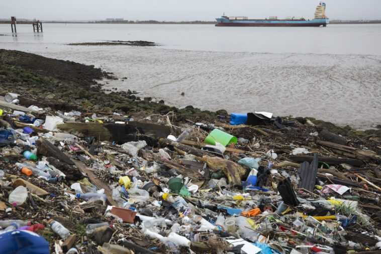 Du plastique dans l'estomac de plus de la moitié des oiseaux marins du monde 1 Du Plastique Dans L'estomac De Plus De La Moitié Des