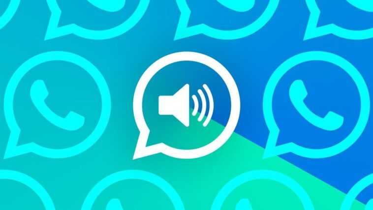 La nouveauté de WhatsApp pour en faire plus lors de voyelles trop longues 1 La Nouveauté De Whatsapp Pour En Faire Plus Lors De