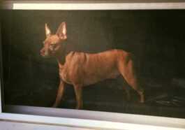 Peinture à L'huile Ou Vraie Photo De Chien : L'incroyable