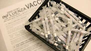 Pourquoi Les Personnes Souffrant De Maladies Cardiaques Devraient Se Faire