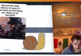 Quel Est Le Mème De L'escargot Immortel Envahissant Tiktok