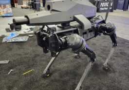 Quelqu'un A Fait Un Chien Robot Porteur D'un Fusil D'assaut,