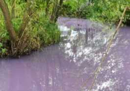 Une Rivière A Changé De Couleur à Cause De La